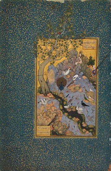 Ptačí sněm, iluminace z Isfahánu, 1600